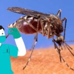 West Nile Virus in Alliance