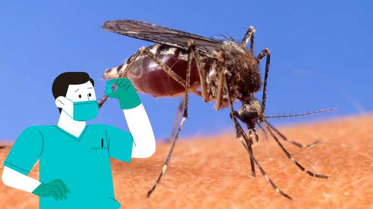 West Nile Virus in Alliance