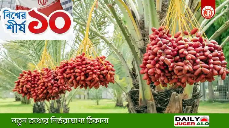 বিশ্ব খেজুর উৎপাদনে শীর্ষ দেশ কোনটি? সৌদি আরবকে টপকে ১ নম্বরে এখন কে?